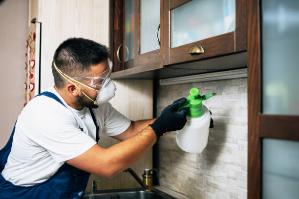 Pest Control for Restaurants in Hawley, PA