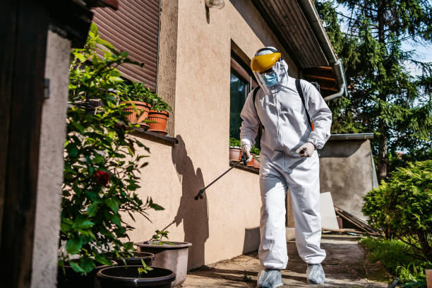 Best Termite Control Services  in Hawley, PA