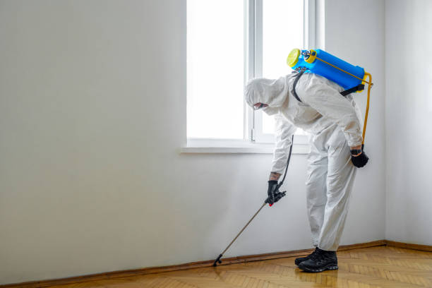 Best Pest Removal Services  in Hawley, PA