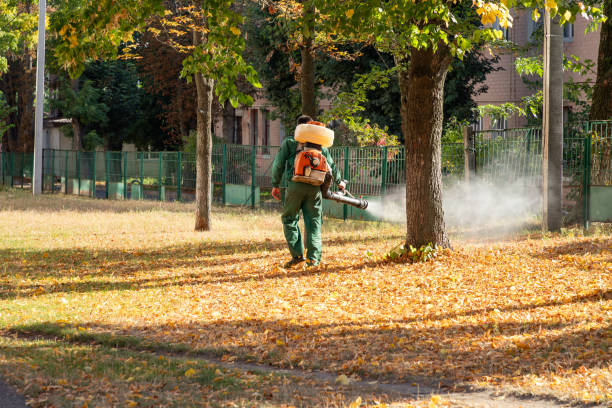 Best Mosquito Control Services  in Hawley, PA